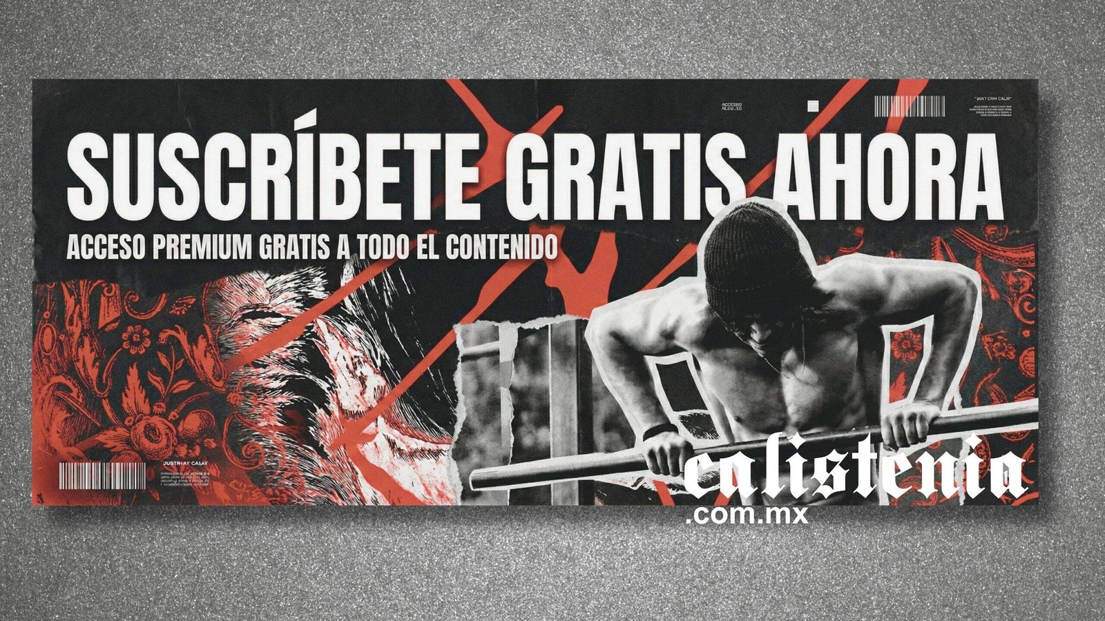 Suscríbete a Calistenia