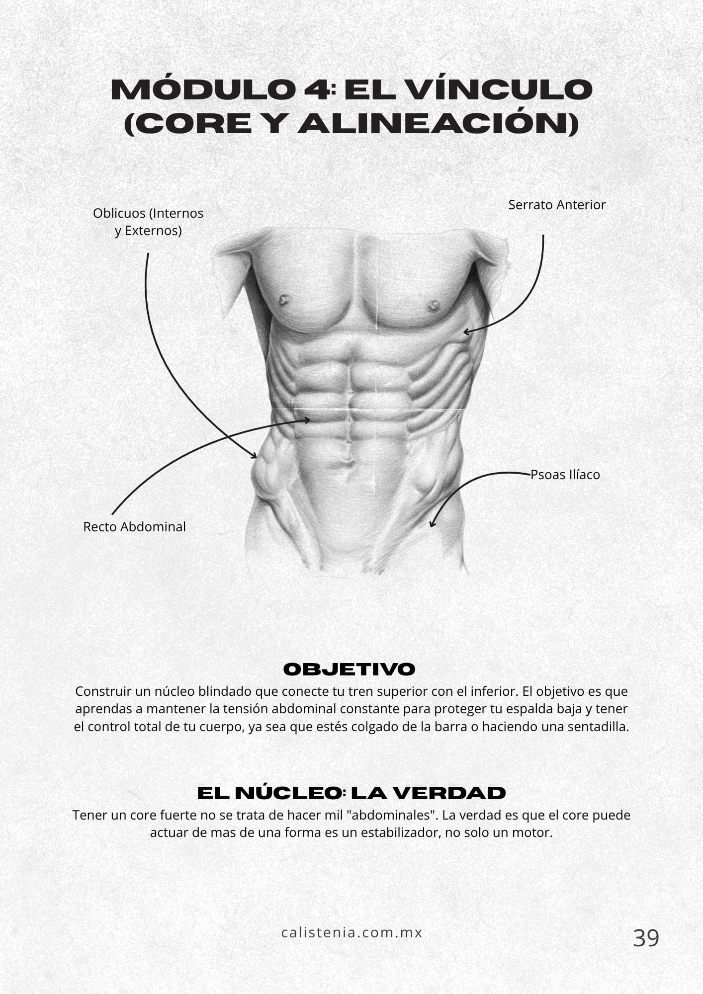 Vínculo — core hollow body