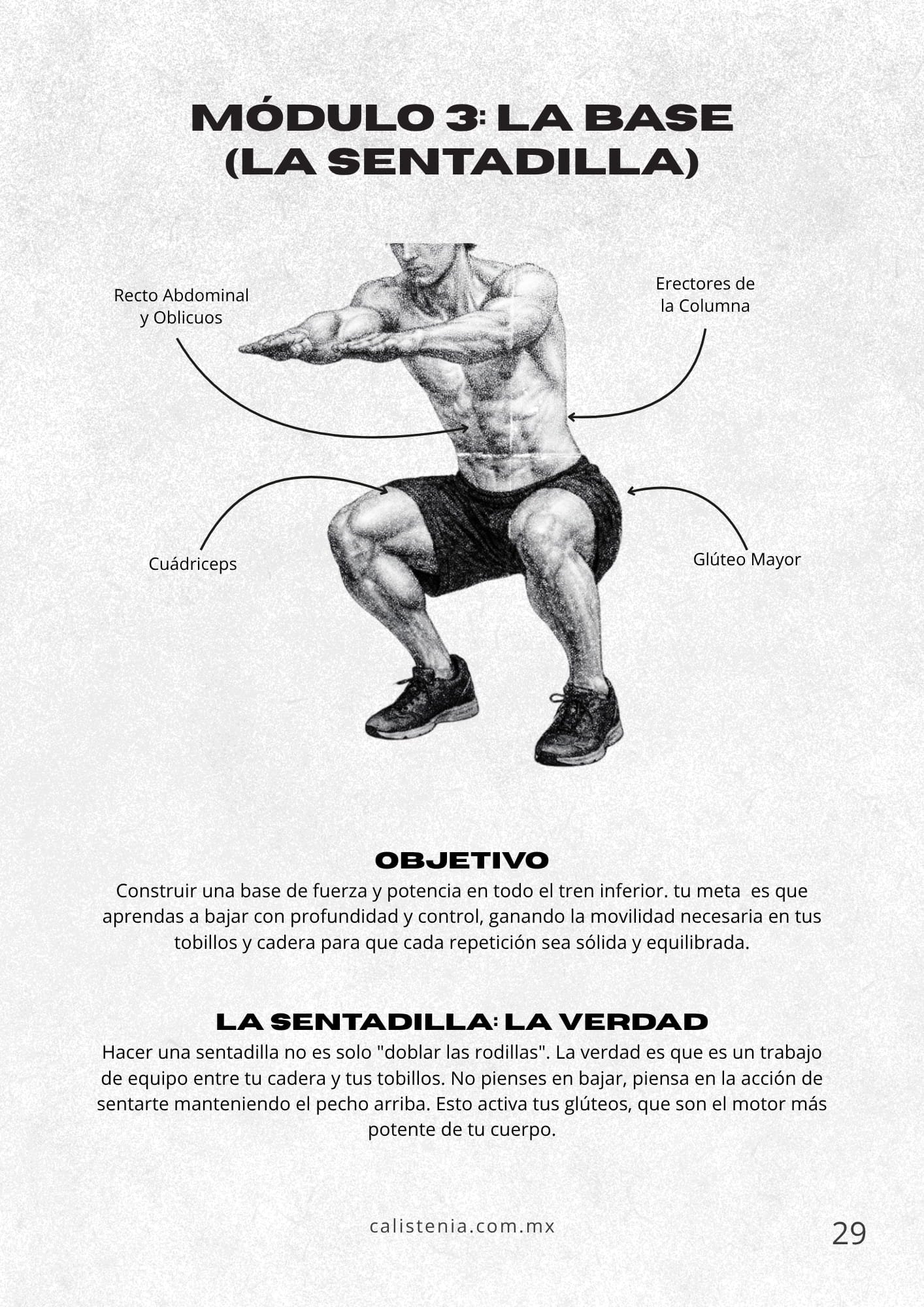 Base — sentadillas