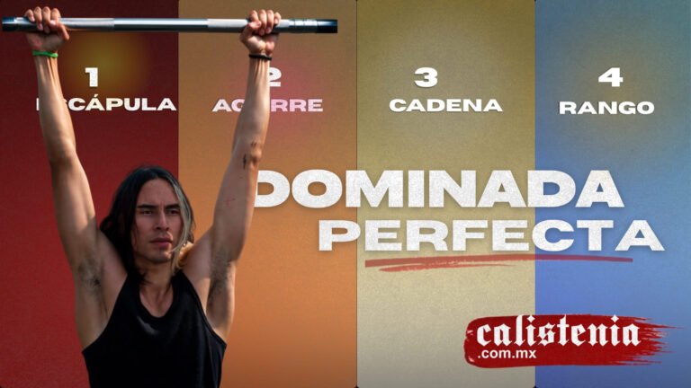 4 etapas de la dominada